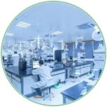 生物技术与育种