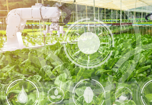 新型农业技术研发